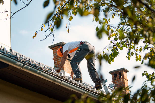 Best Flat Roof Repair Services  in Washburn, WI