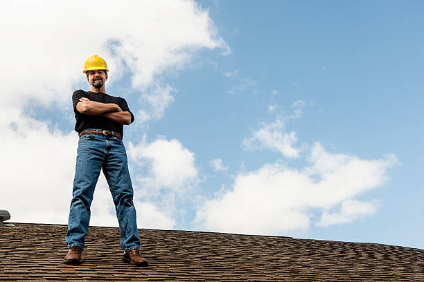 Best Roof Gutter Cleaning  in Washburn, WI